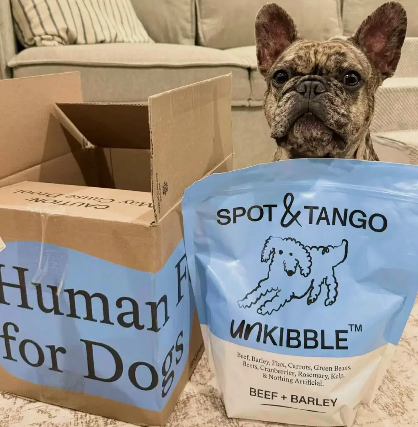 @BENJIANDMILOTHEFRENCHIES