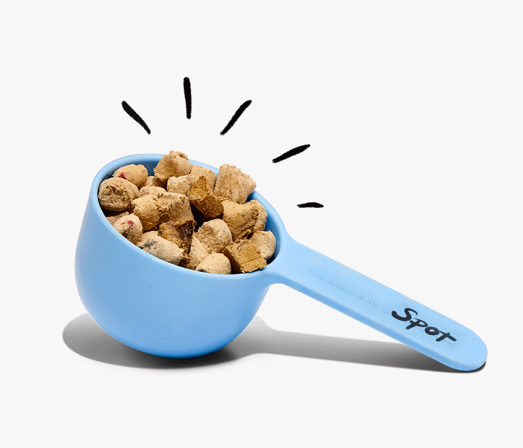 UnKibble Scoop Animation